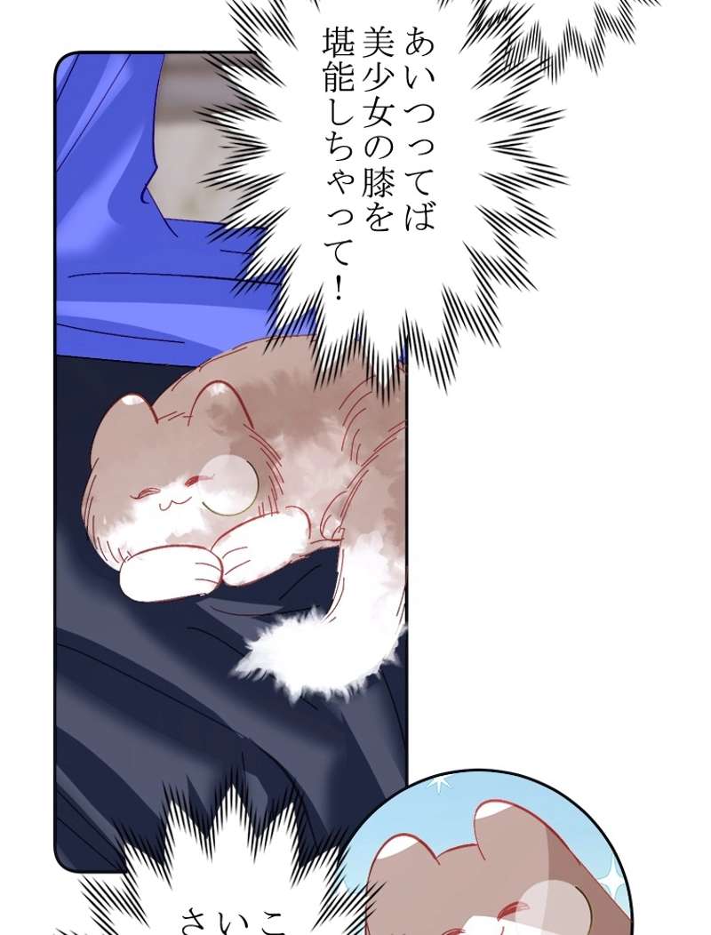P53