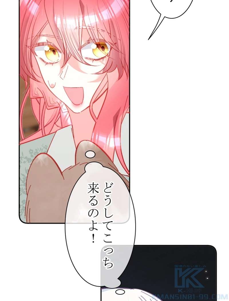 P58