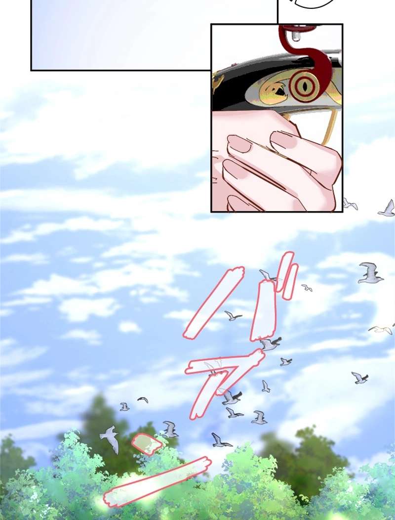 P48