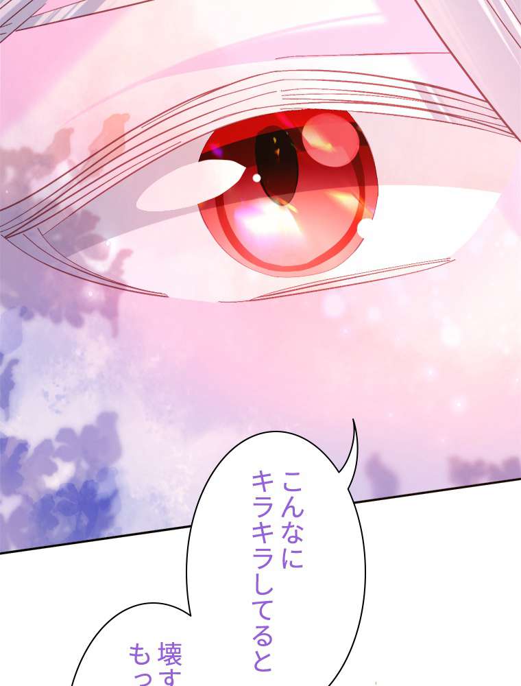 P66