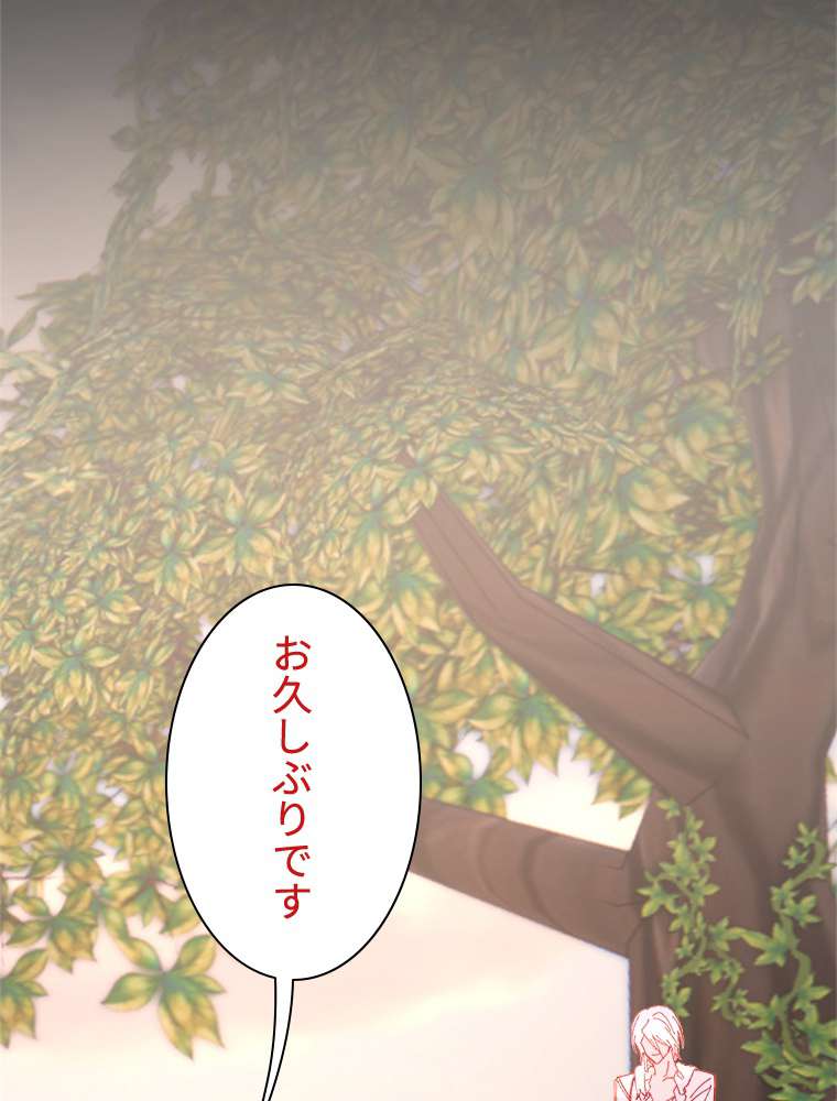 P86