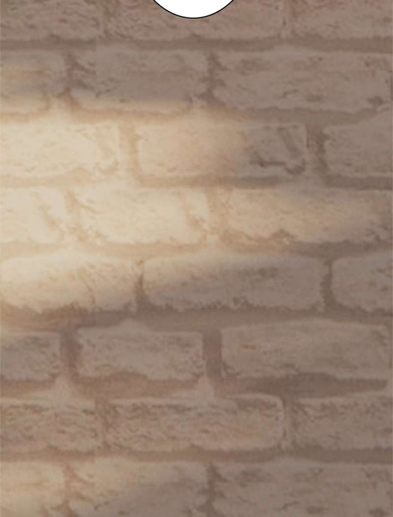 P84