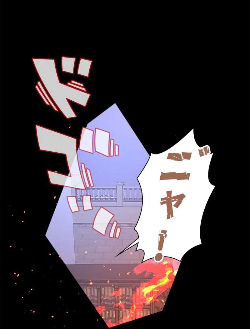 P44