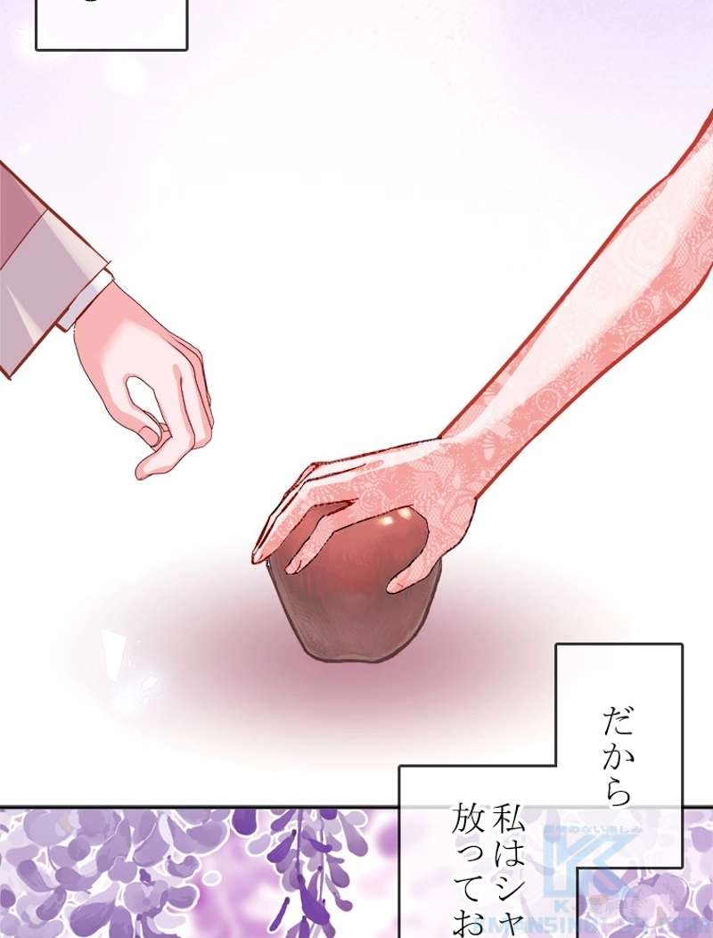 P58