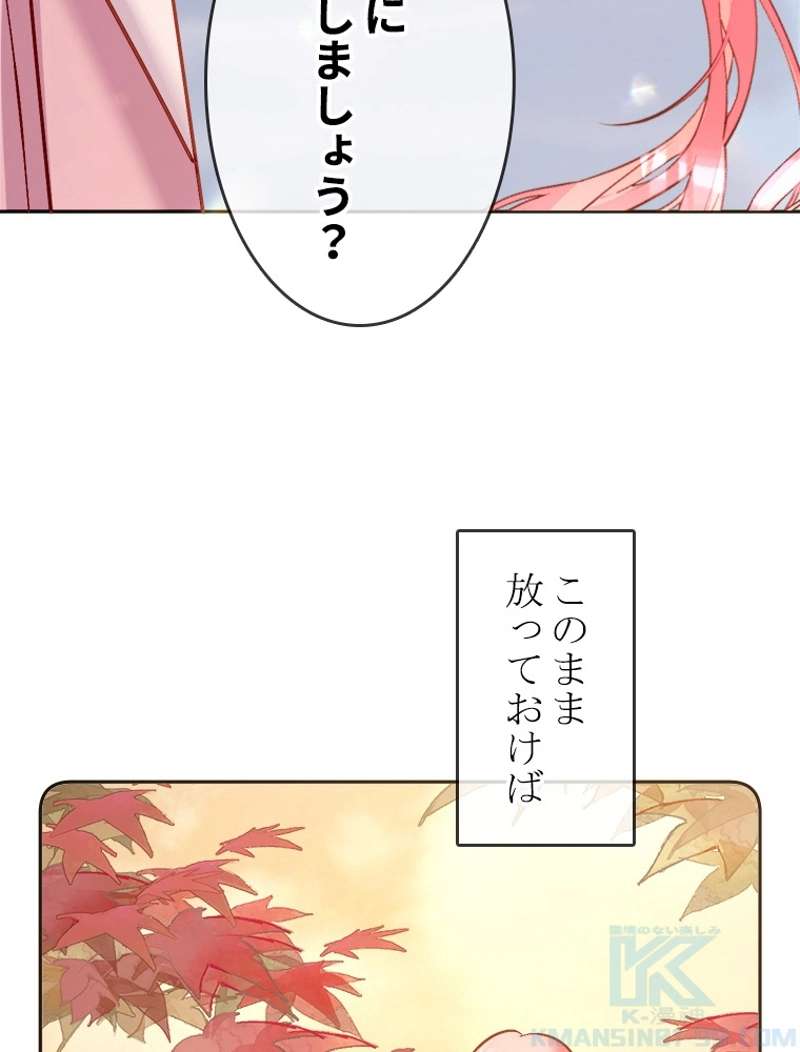P61