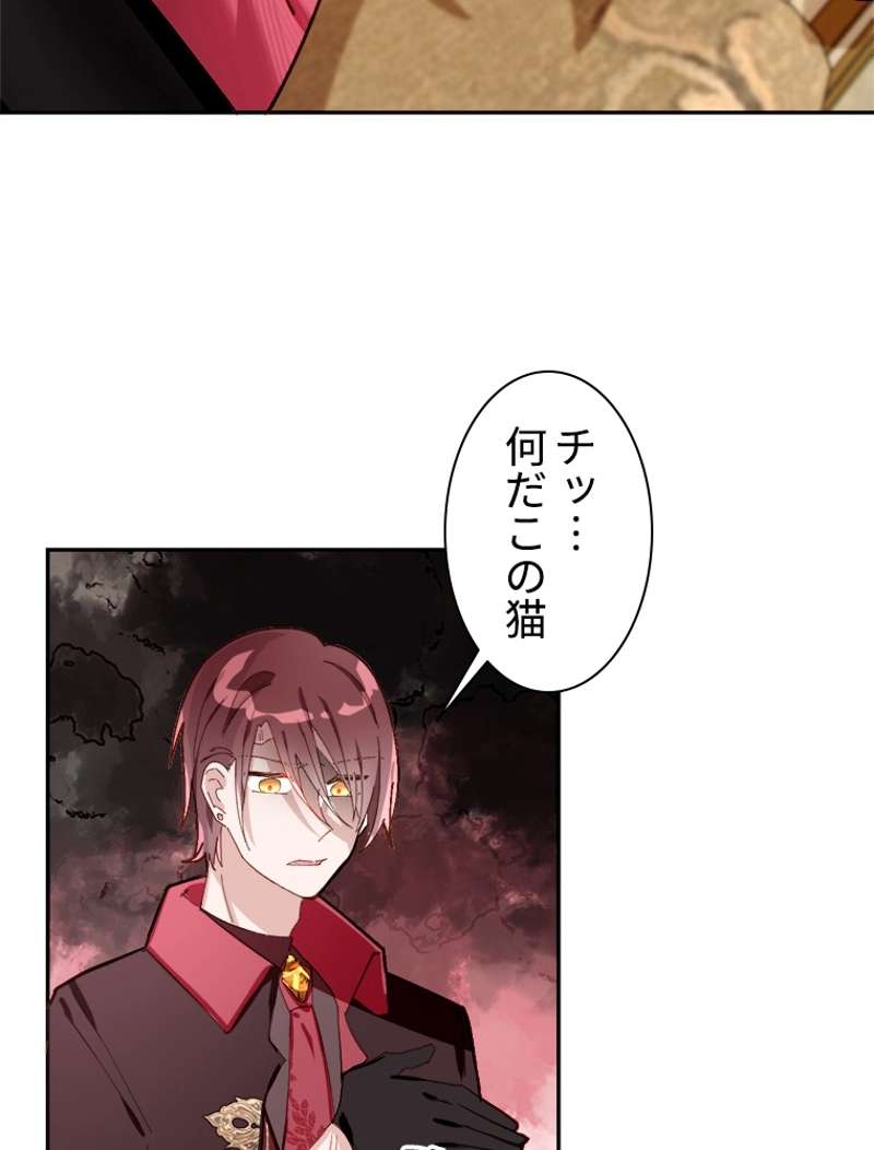 P63