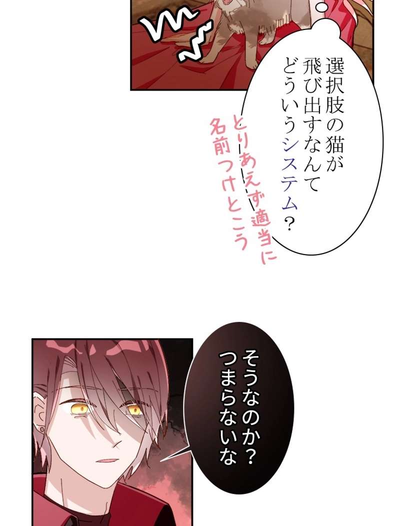 P65