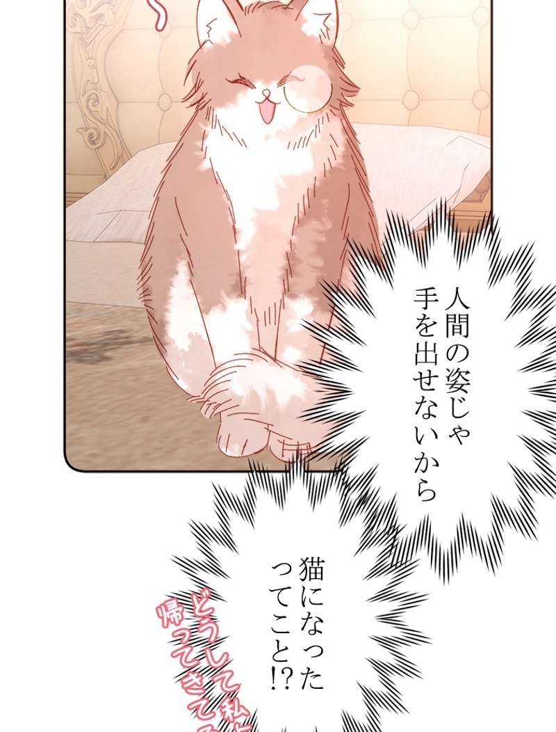 P54