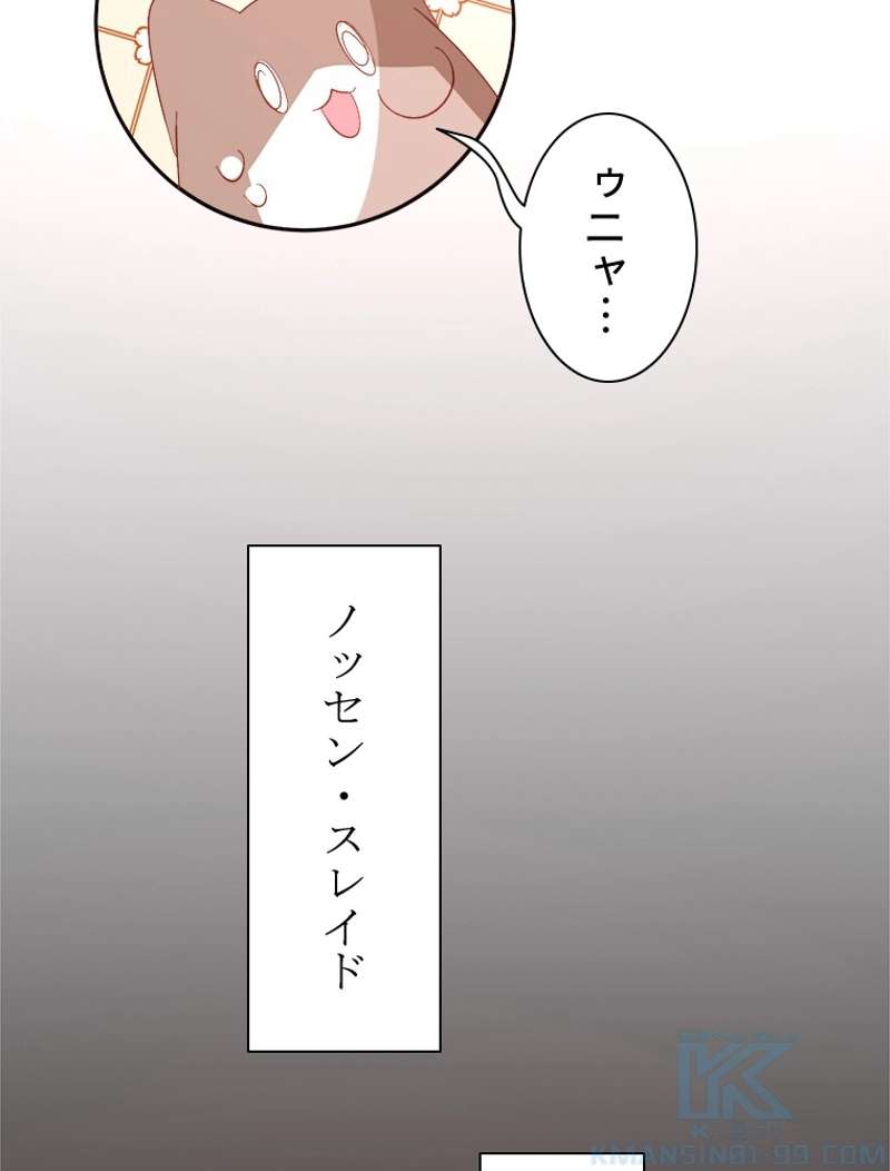 P61