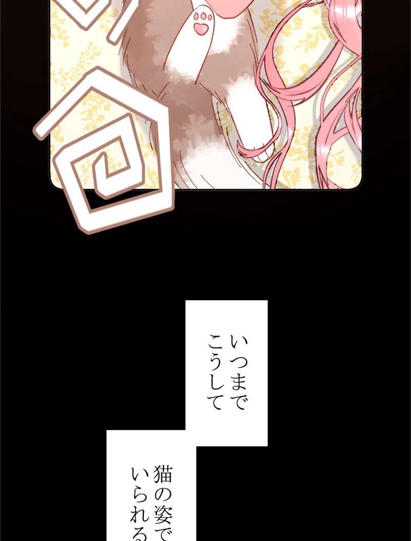 P63