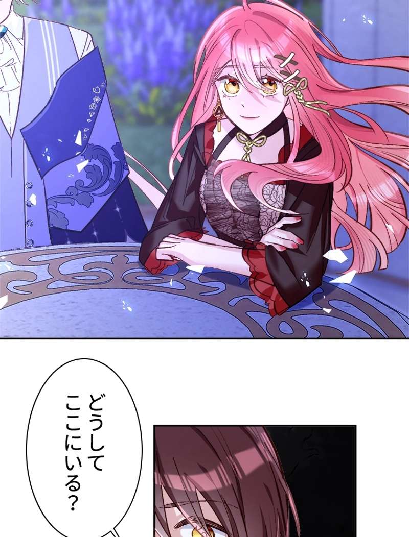 P53