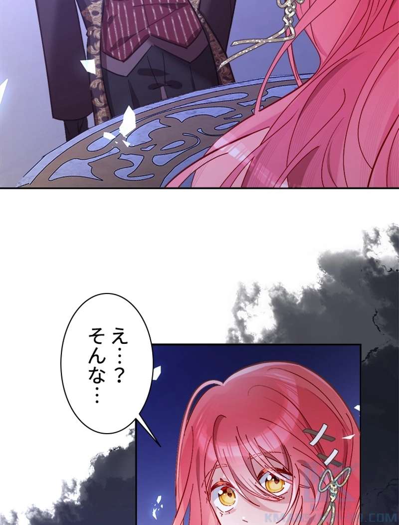 P61