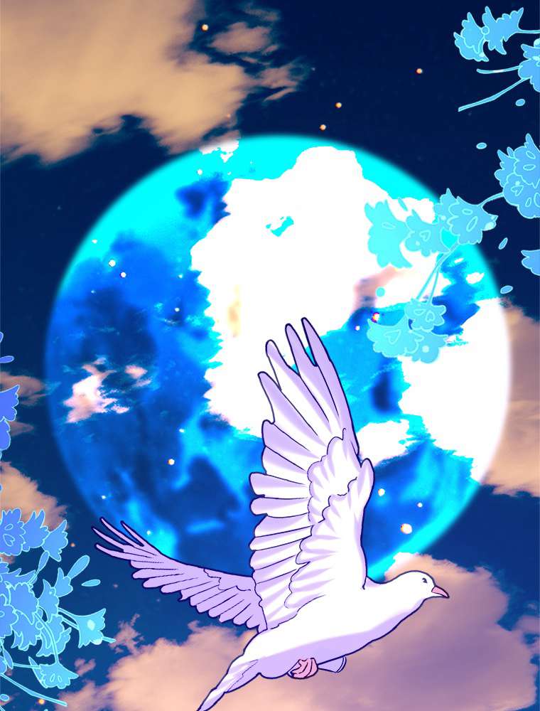 P77