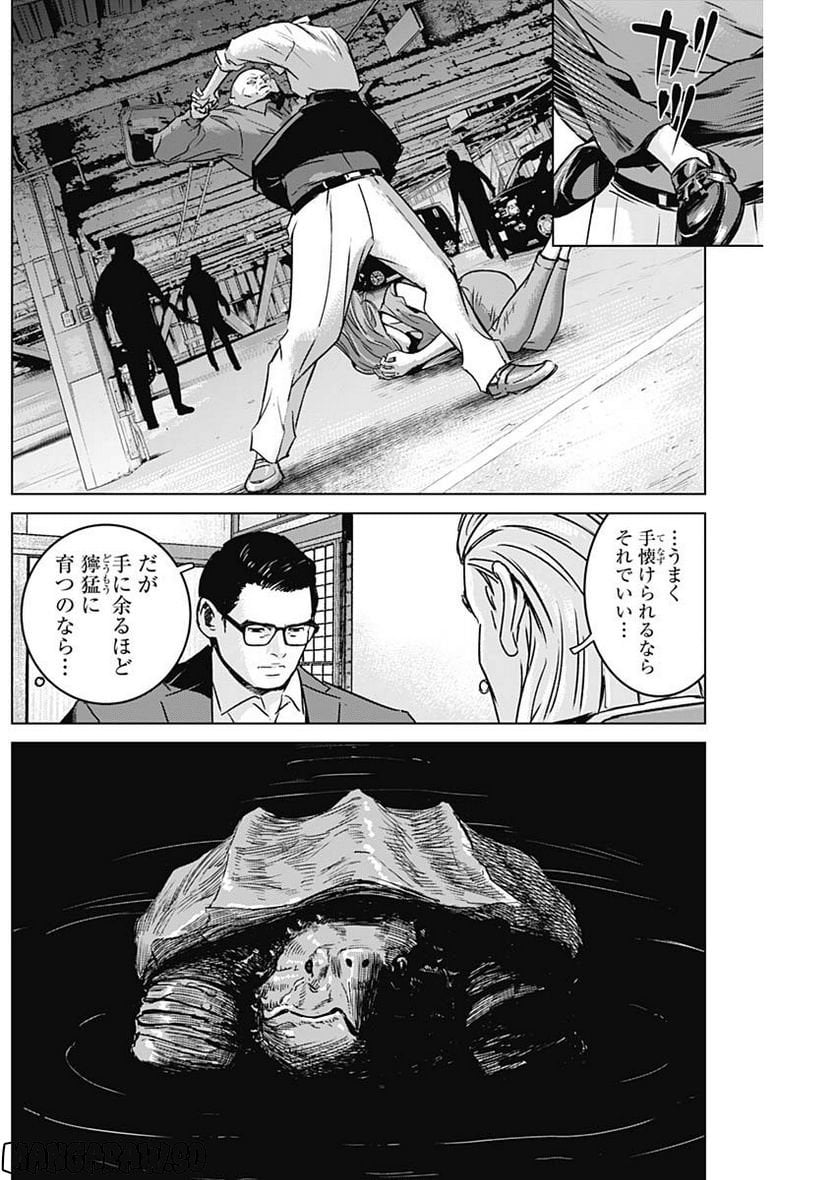 P16