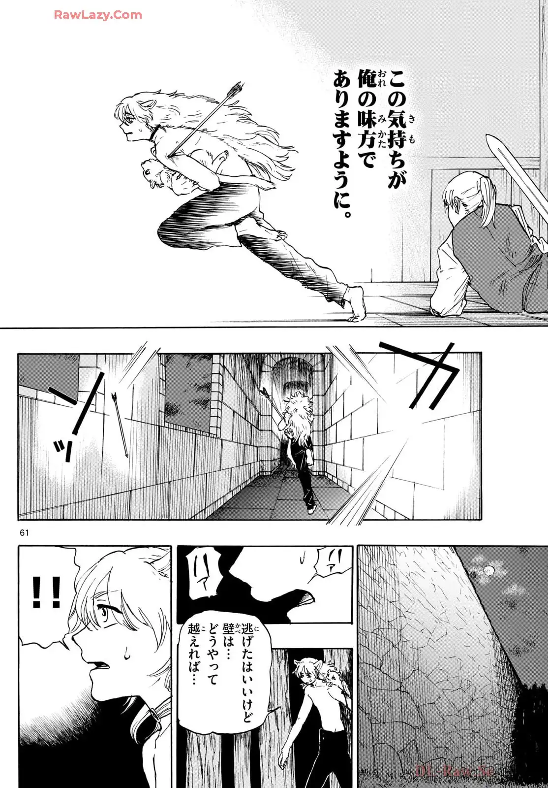 P61