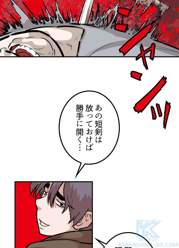P58