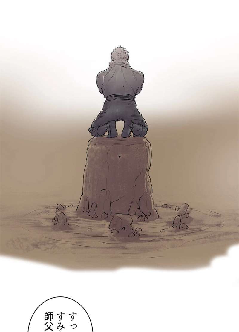 P48