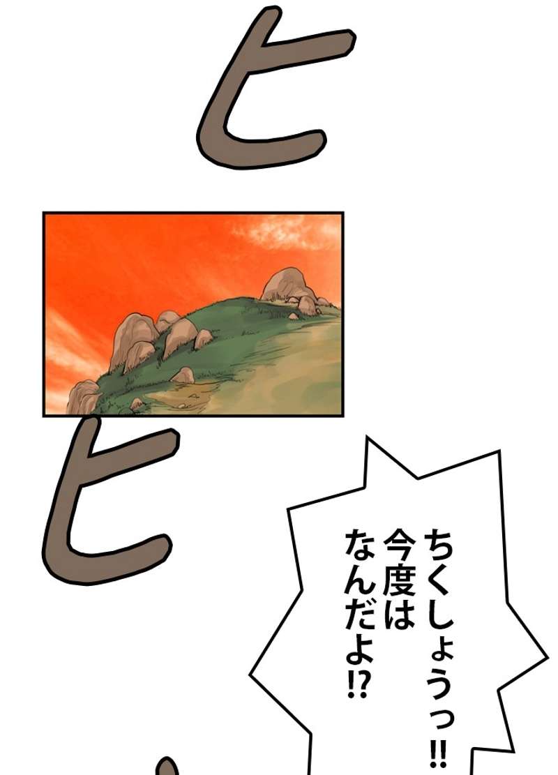 P55
