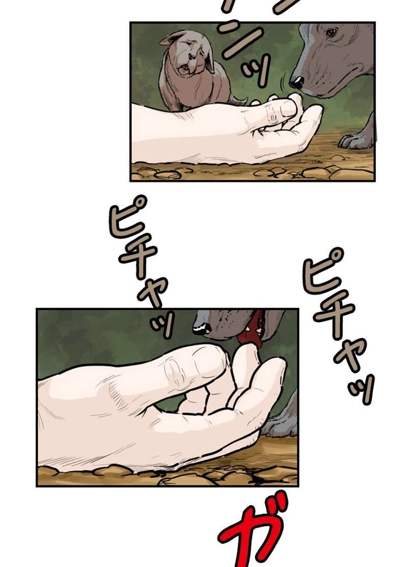 P42