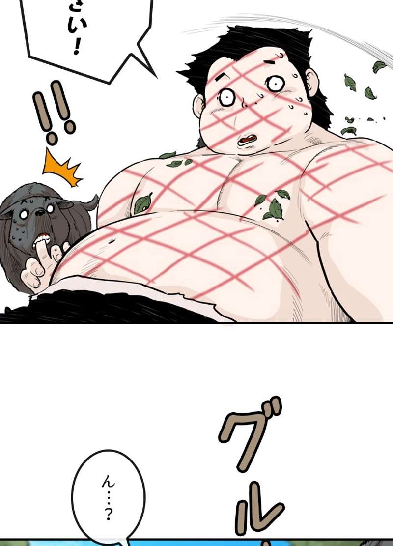 P44