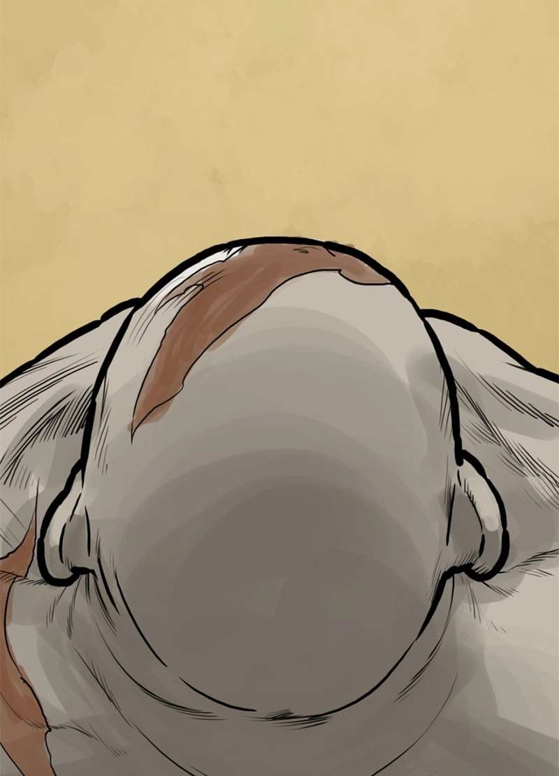 P45