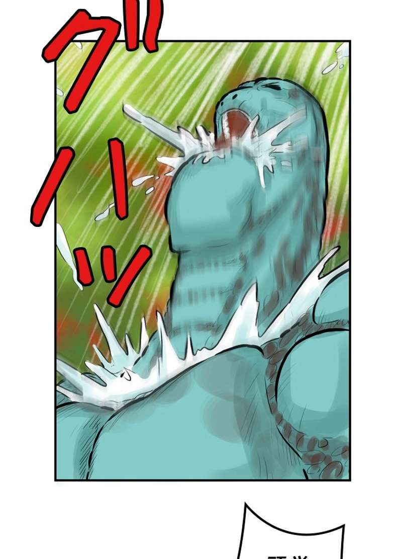 P46