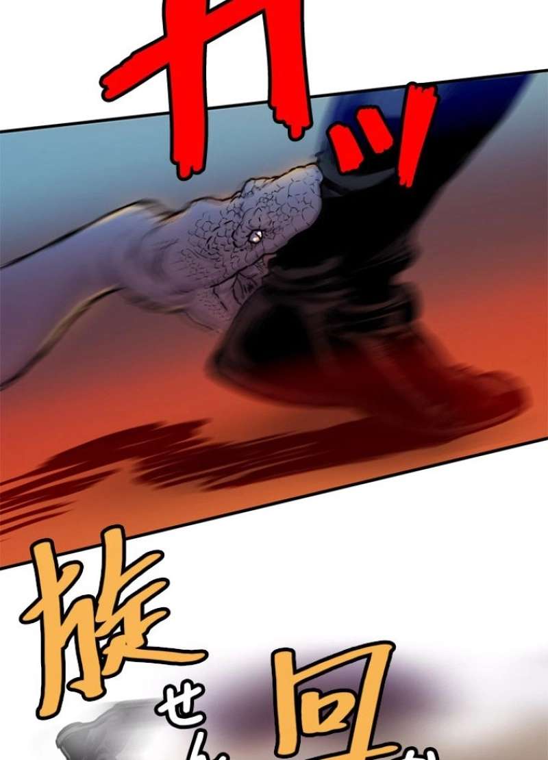 P54