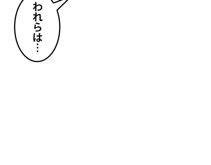 P51