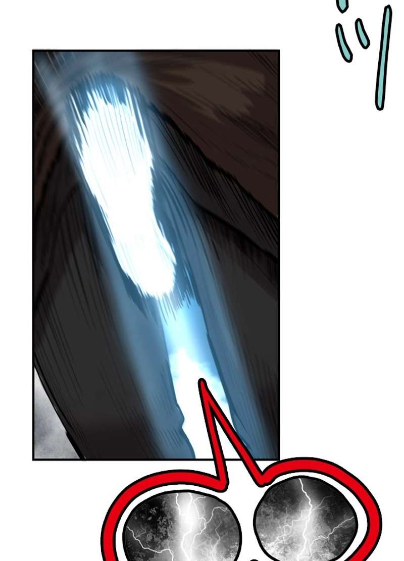 P48