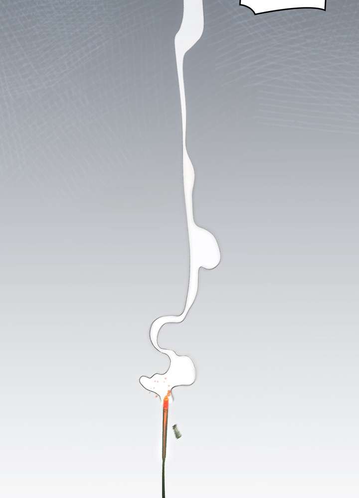 P61
