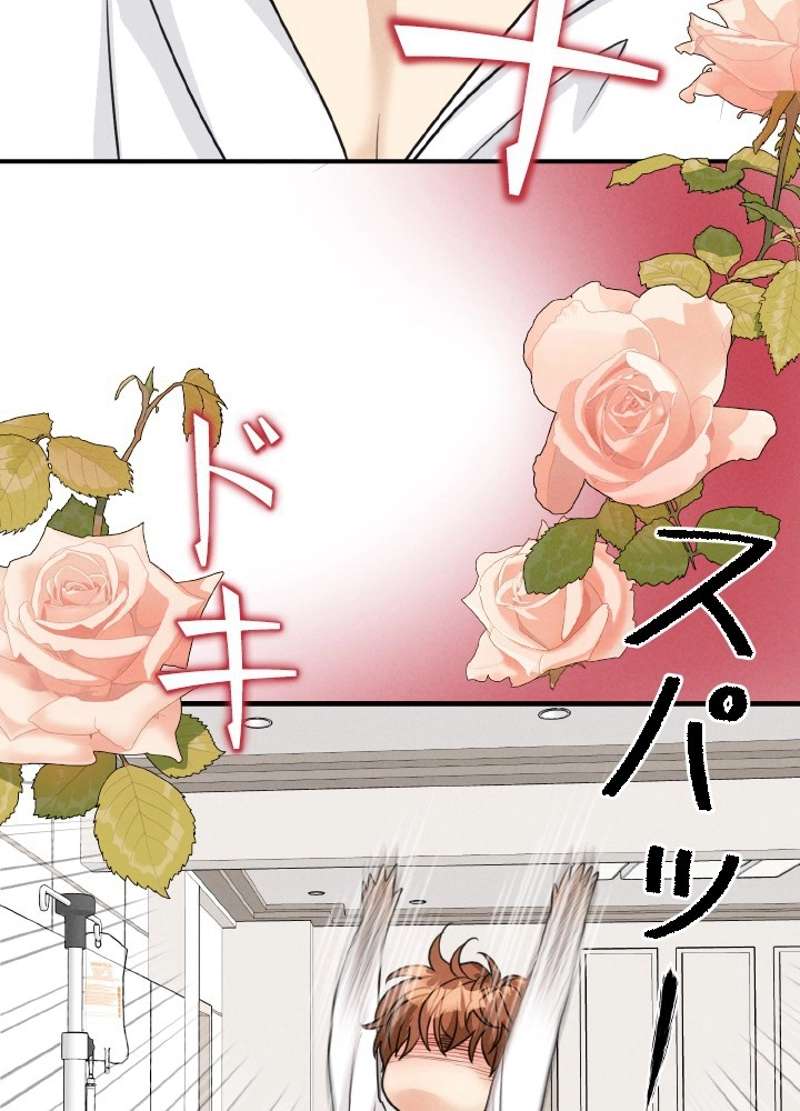 P48
