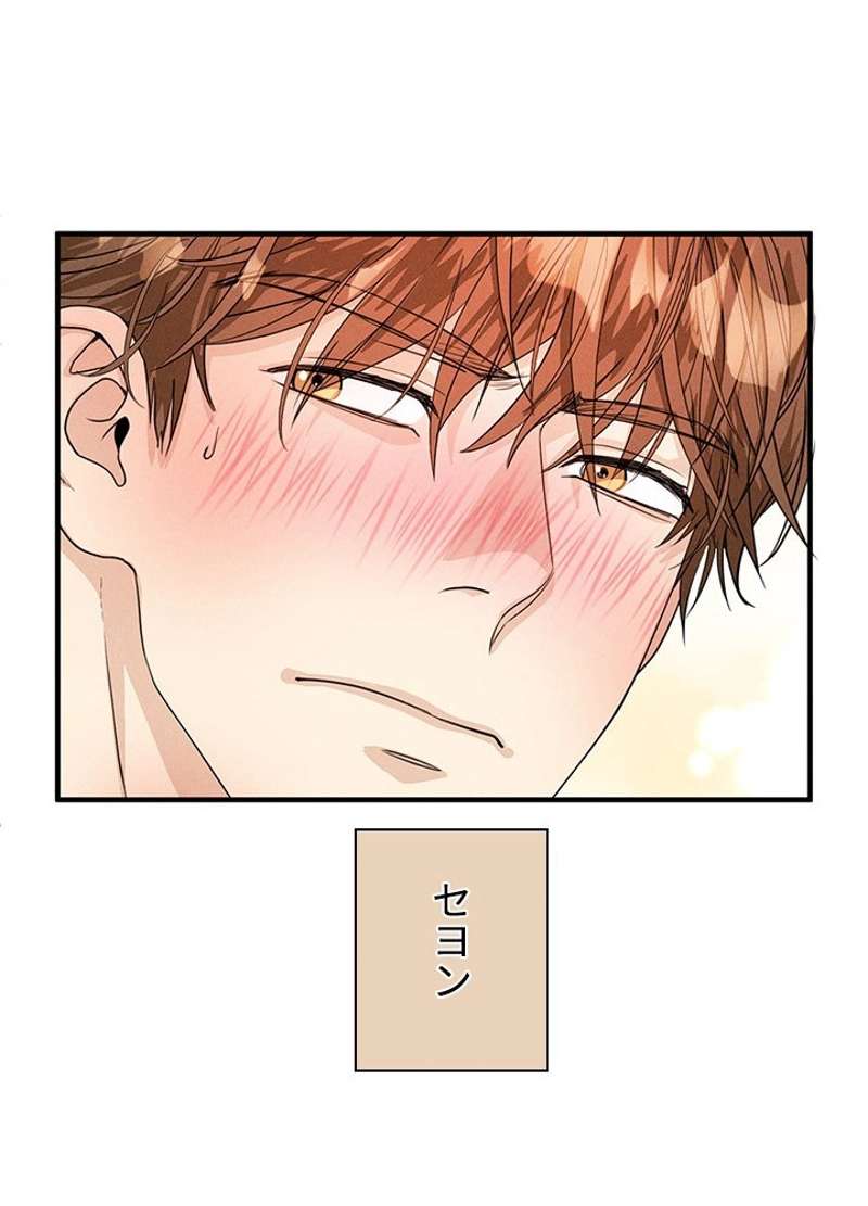 P66