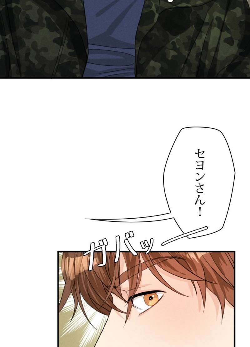 P66