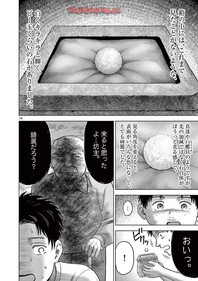 P14