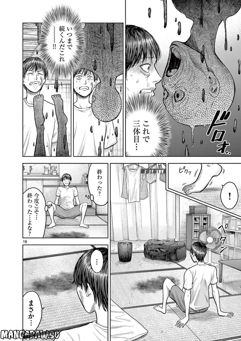 P16