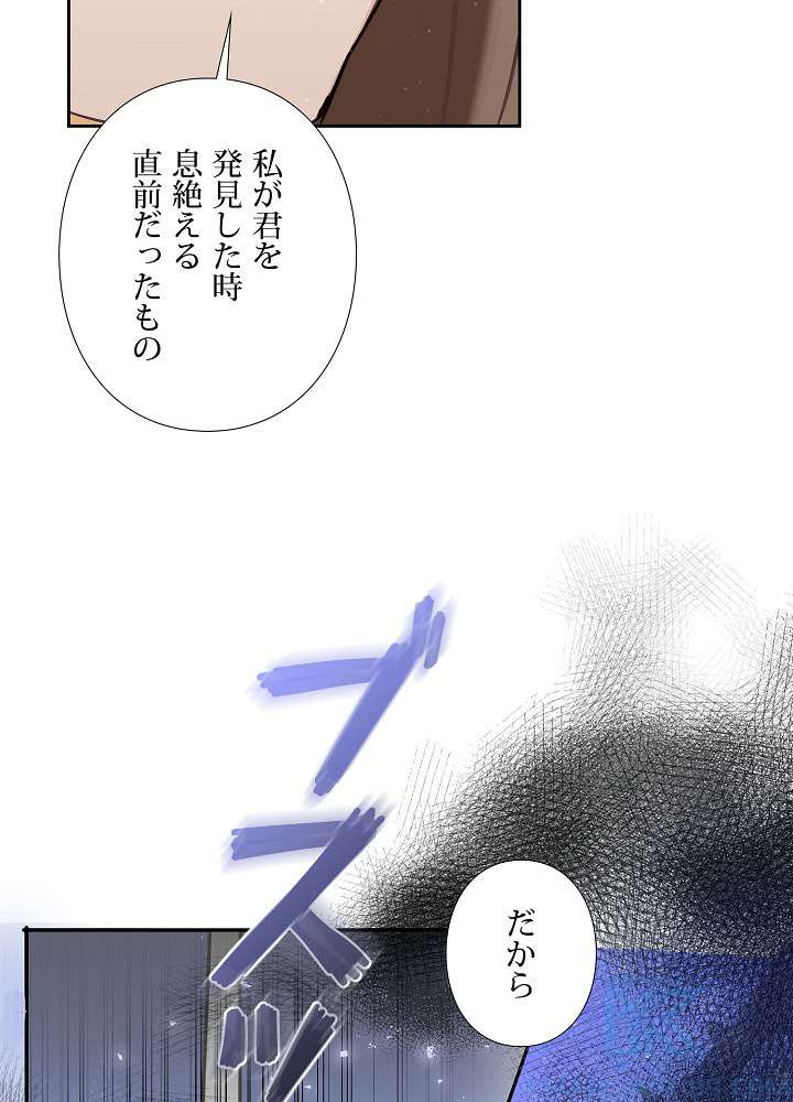 P58