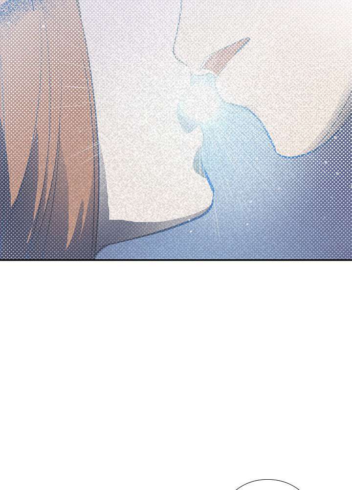 P63