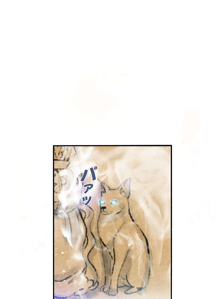 P65