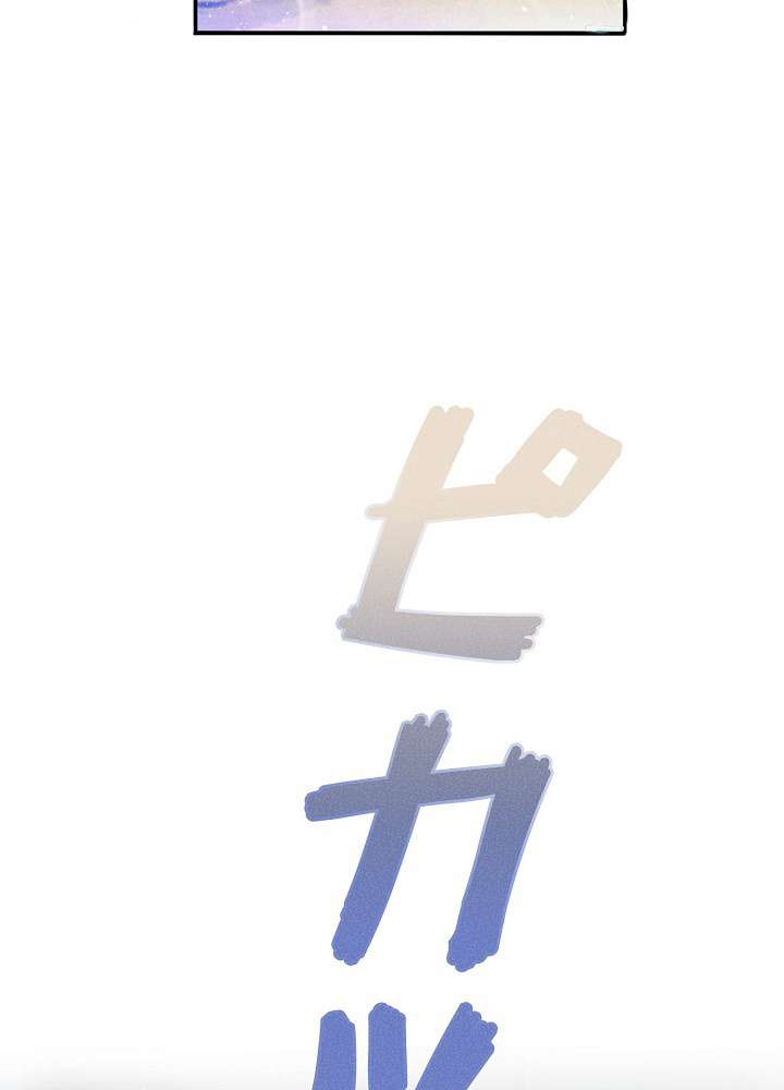 P66