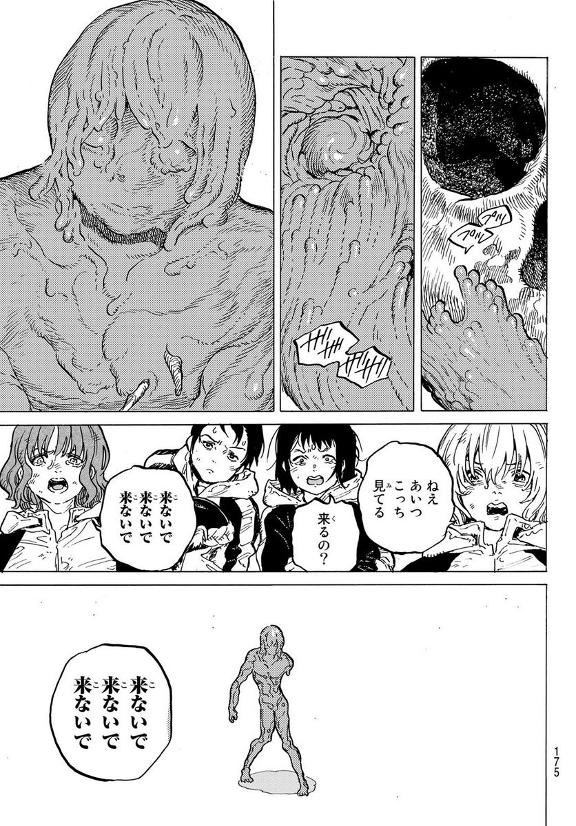 P63