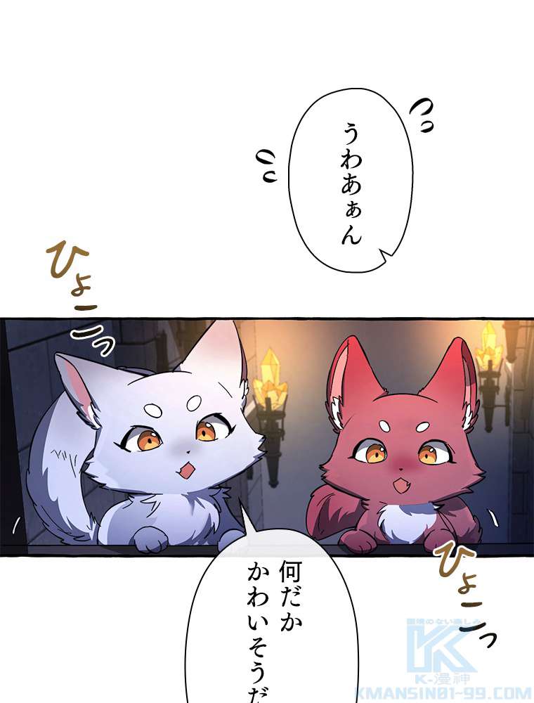 P58