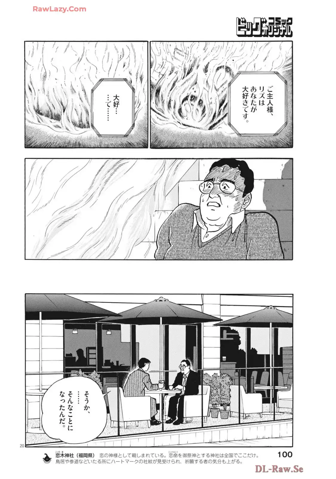 P20