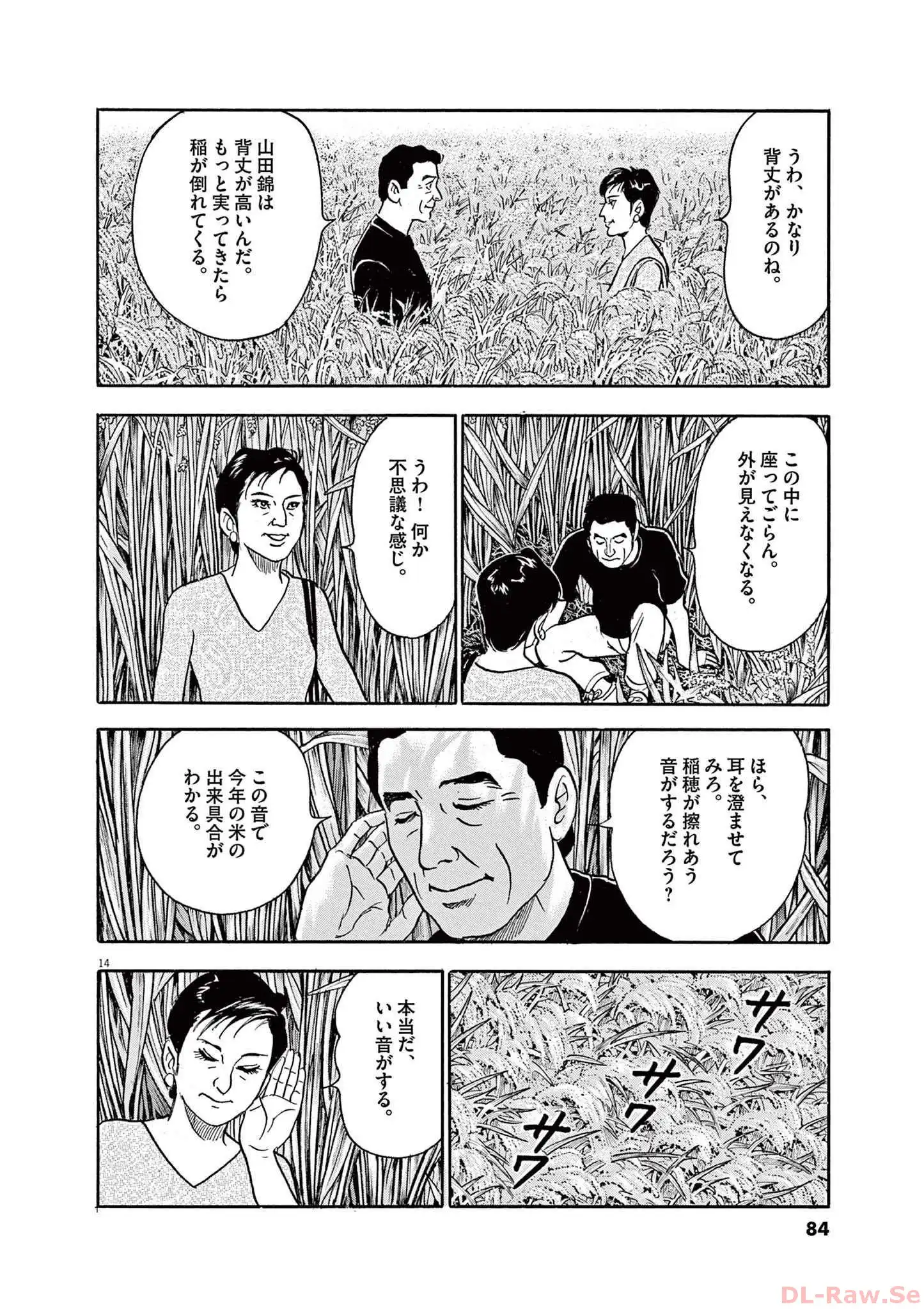 P14