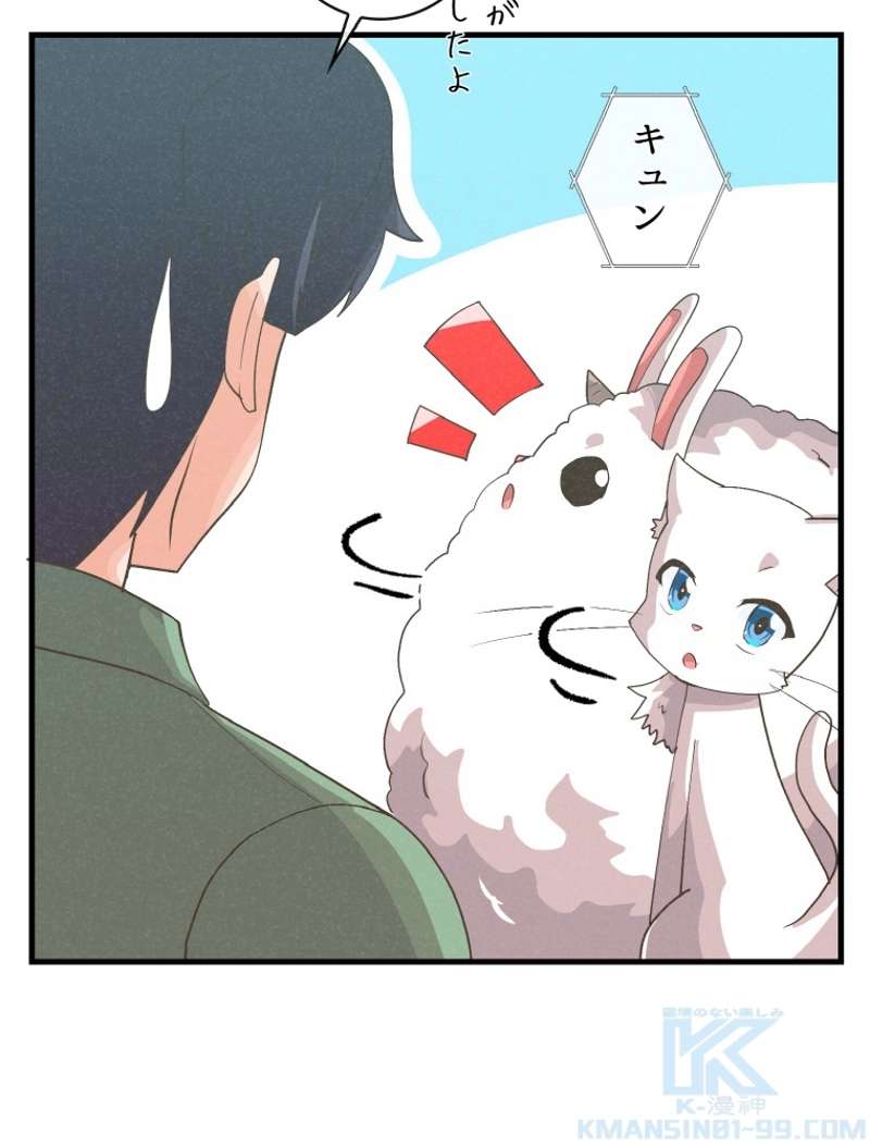 P64