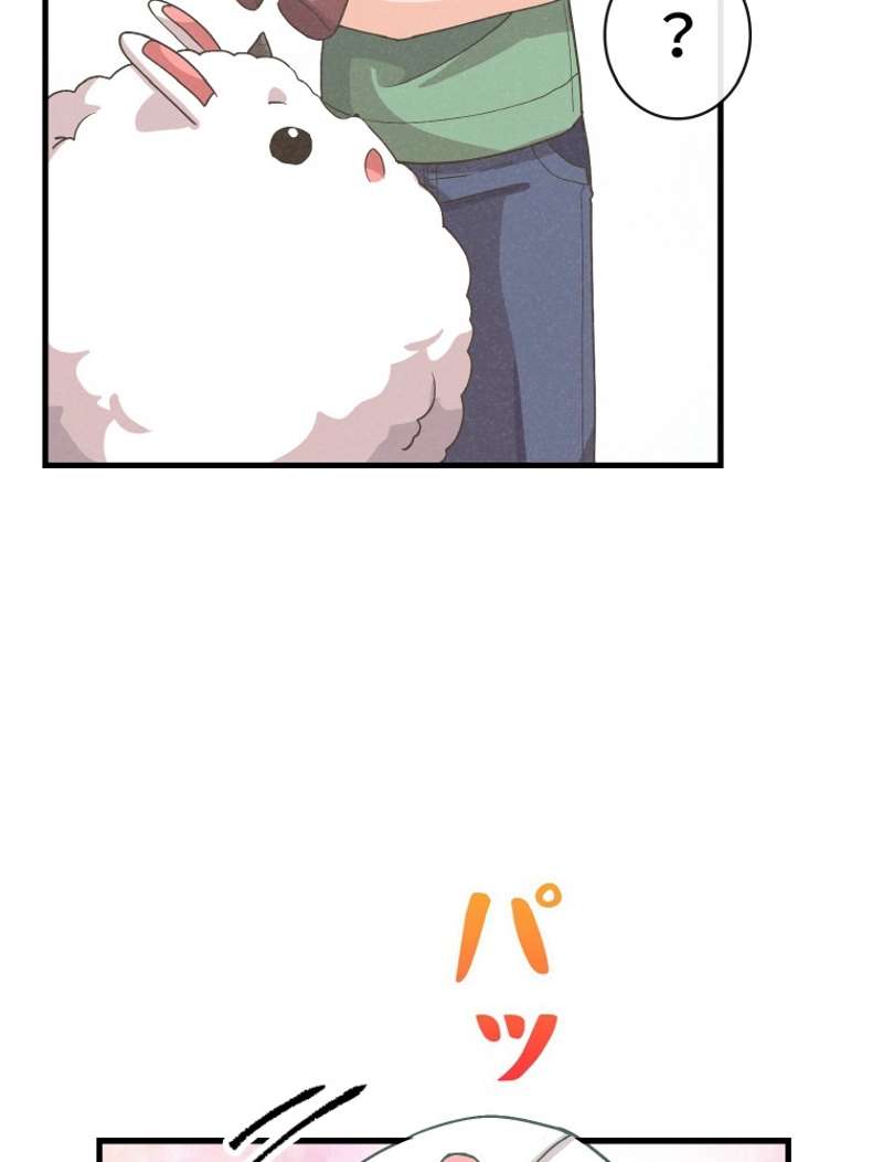P66