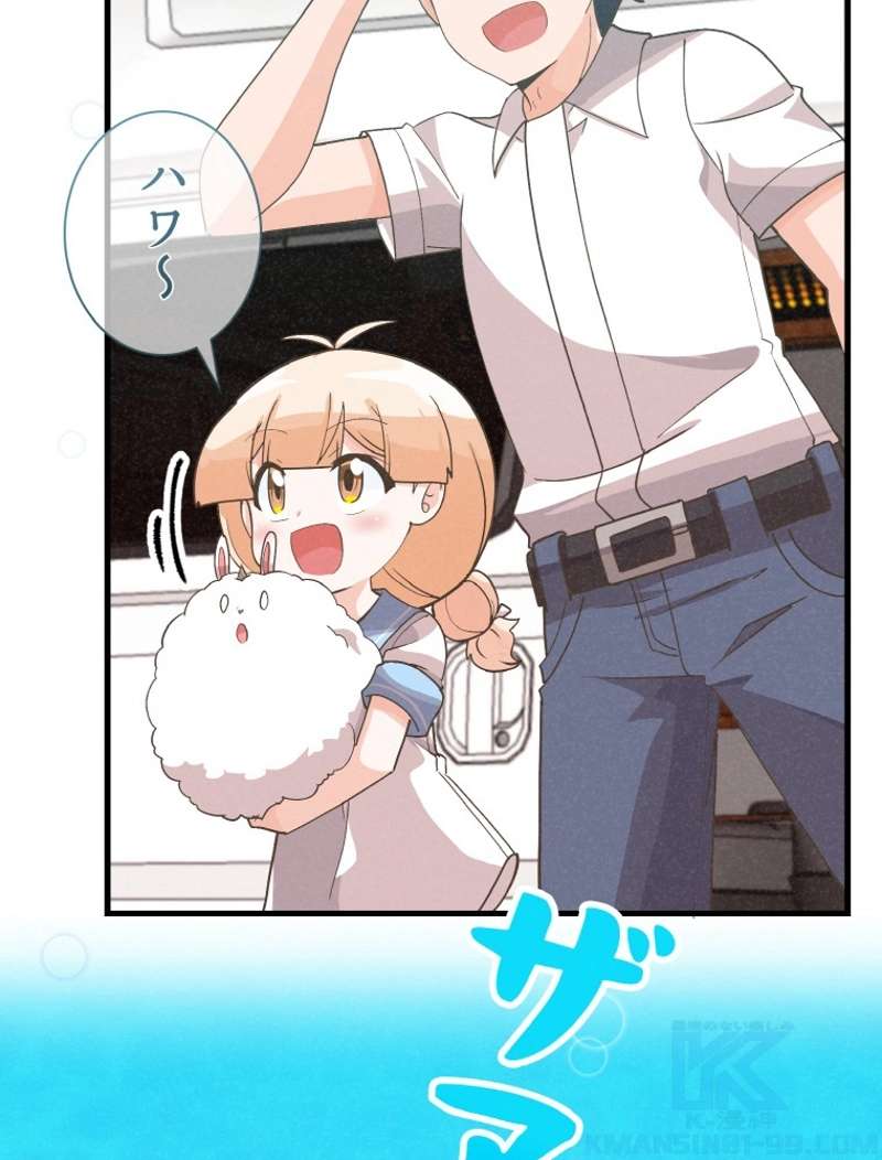 P61