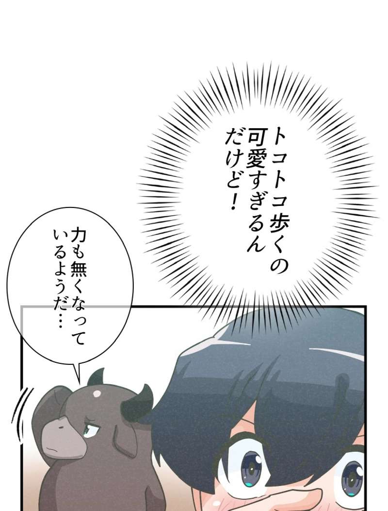 P53