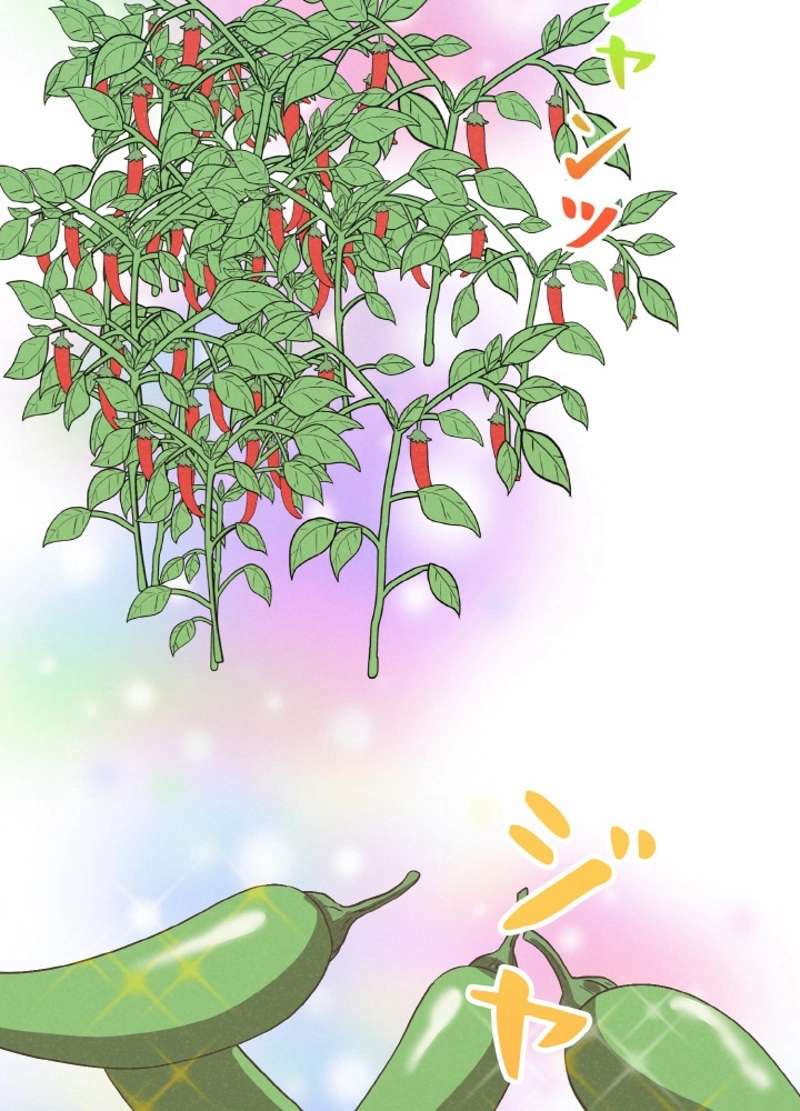 P68