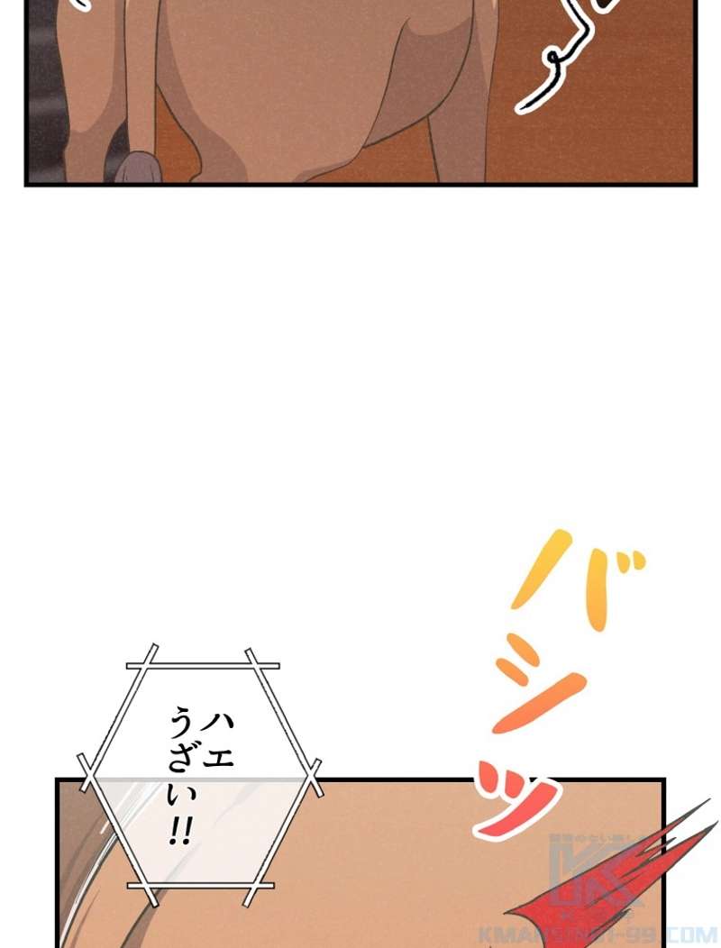 P43