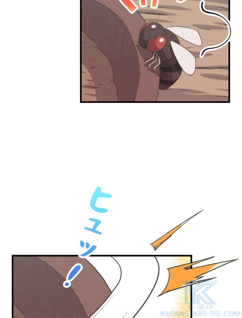 P46